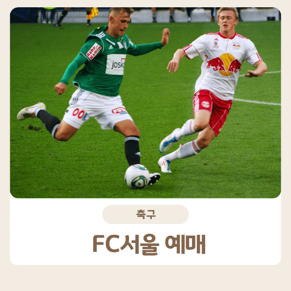 FC서울 예매