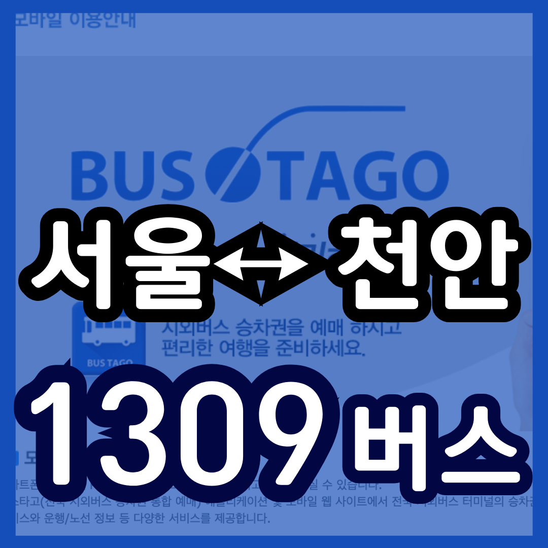 동서울터미널 ↔ 천안종합터미널 버스 예매 시간표 1309번 버스 예약 (동서울 잠실 장지역 가천대 백석대 천안)