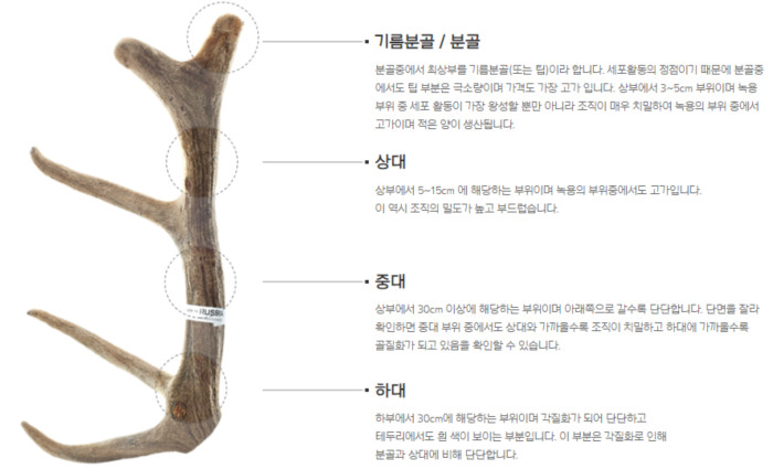 분골-설명