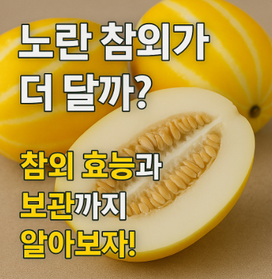 노란-참외가-더-달까?-참외-효능과-보관까지