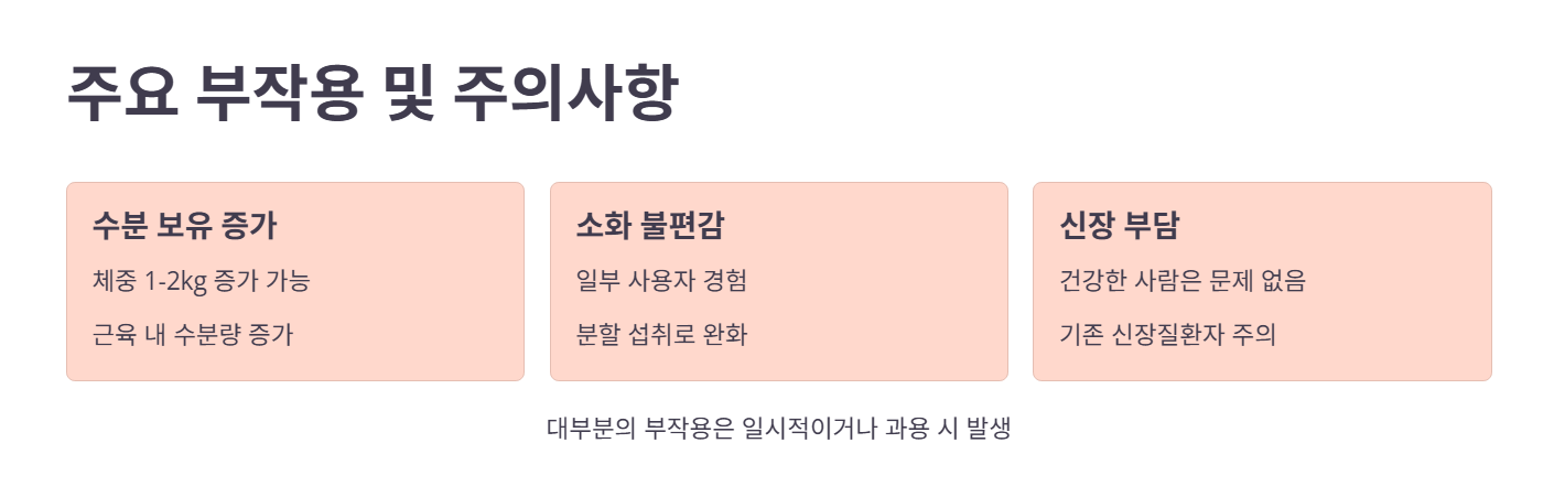 크레아틴 부작용 및 주의사항