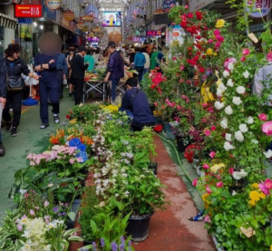 강원도 정선여행 5일장 필수코스