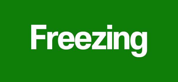 프리징에 대한 간단 정리