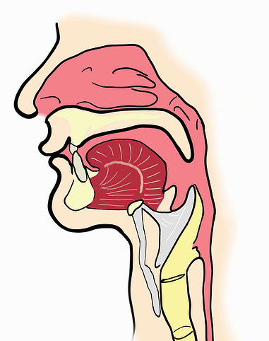 혀 색깔에 따른 건강 신호 상태 (보라색,검은색,노란색)