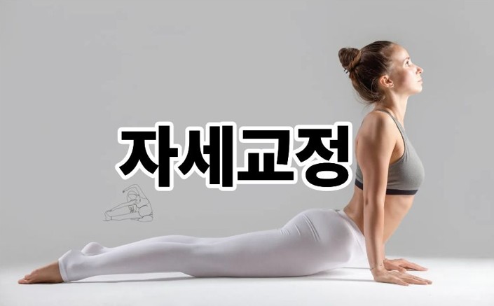 자세교정