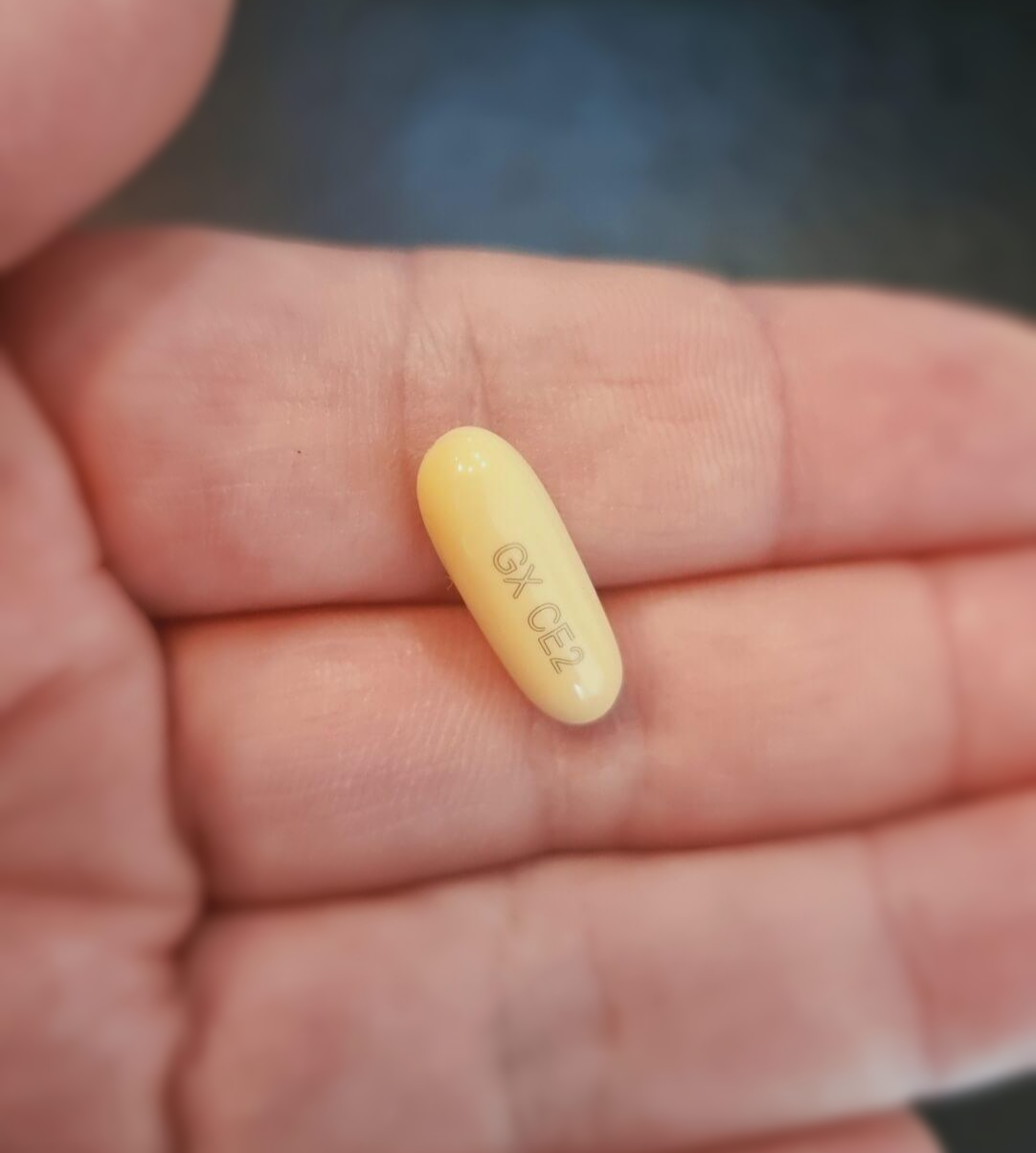 아보다트 1캡슐 확대 사진