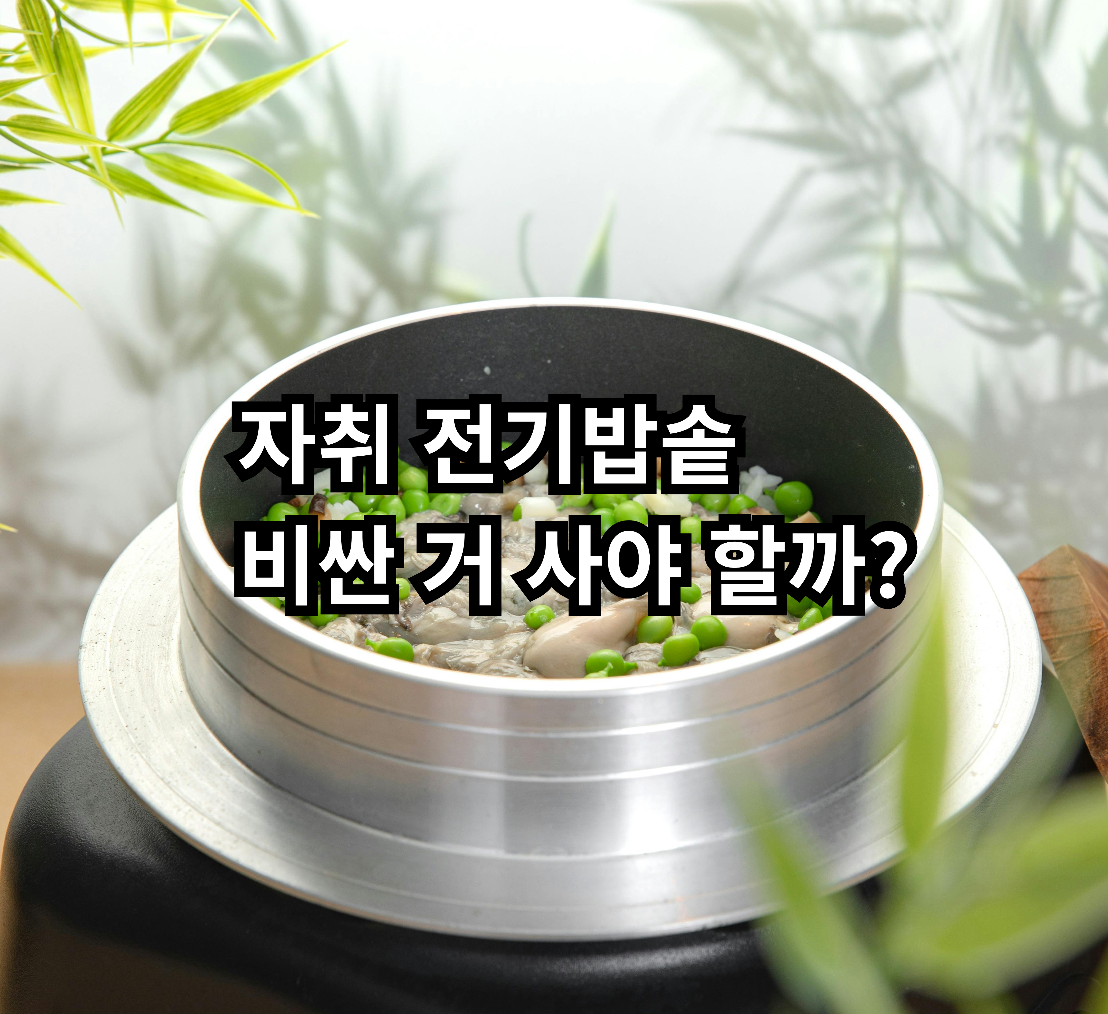 자취 기준으로 전기밥솥 가격 차이와 선택 기준을 정리한 글