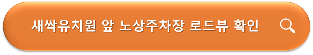 새싹유치원 앞 노상주차장 로드뷰