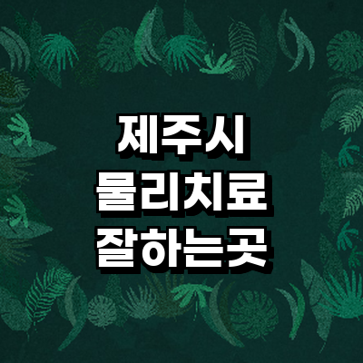 제주 제주시 정형외과