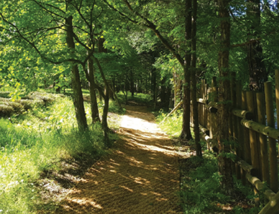 광릉숲길 주요 코스