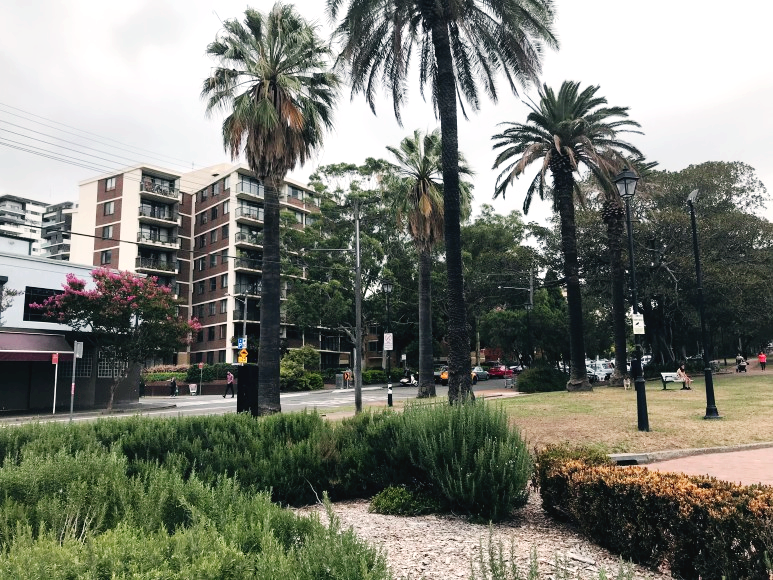 Burwood(버우드) 거리풍경