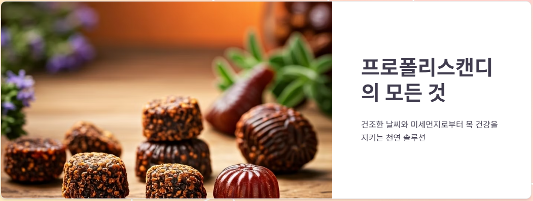 프로폴리스캔디 사탕 효능, 가격, 후기!