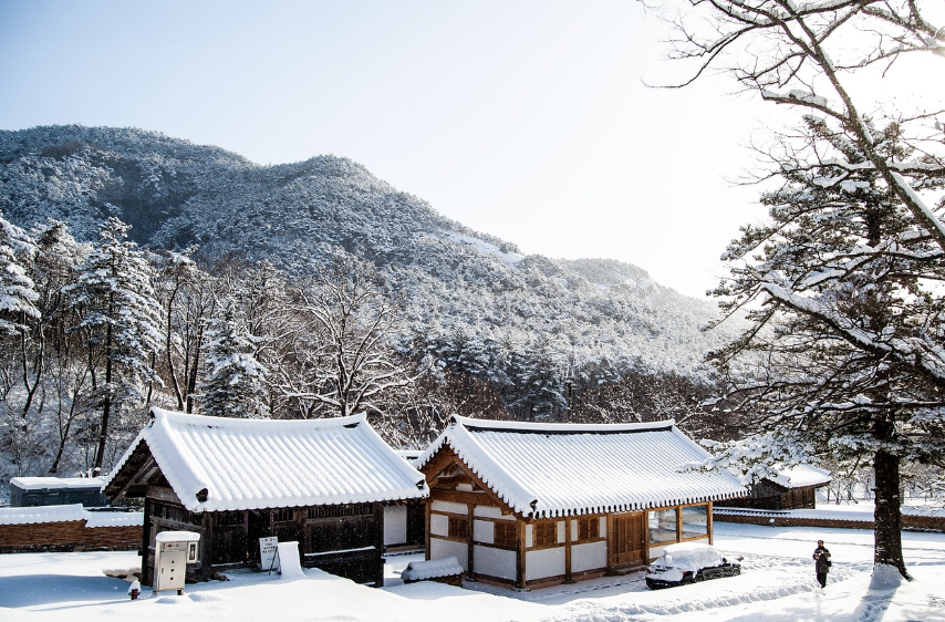 겨울 정원 관련사진