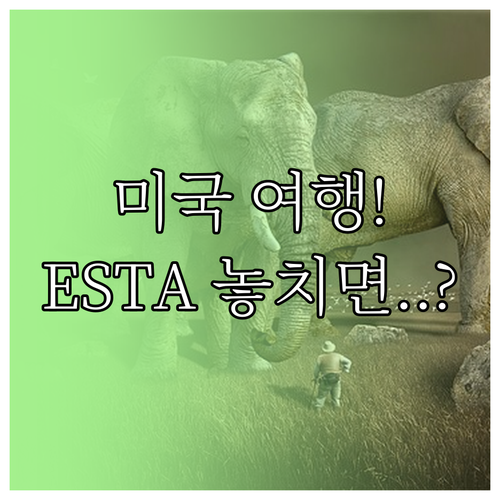 미국 여행 필수 ESTA, 신청 자격..