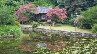 안동 가볼만한곳 베스트10 하회마을 병산서원 간고등어 맛집_14