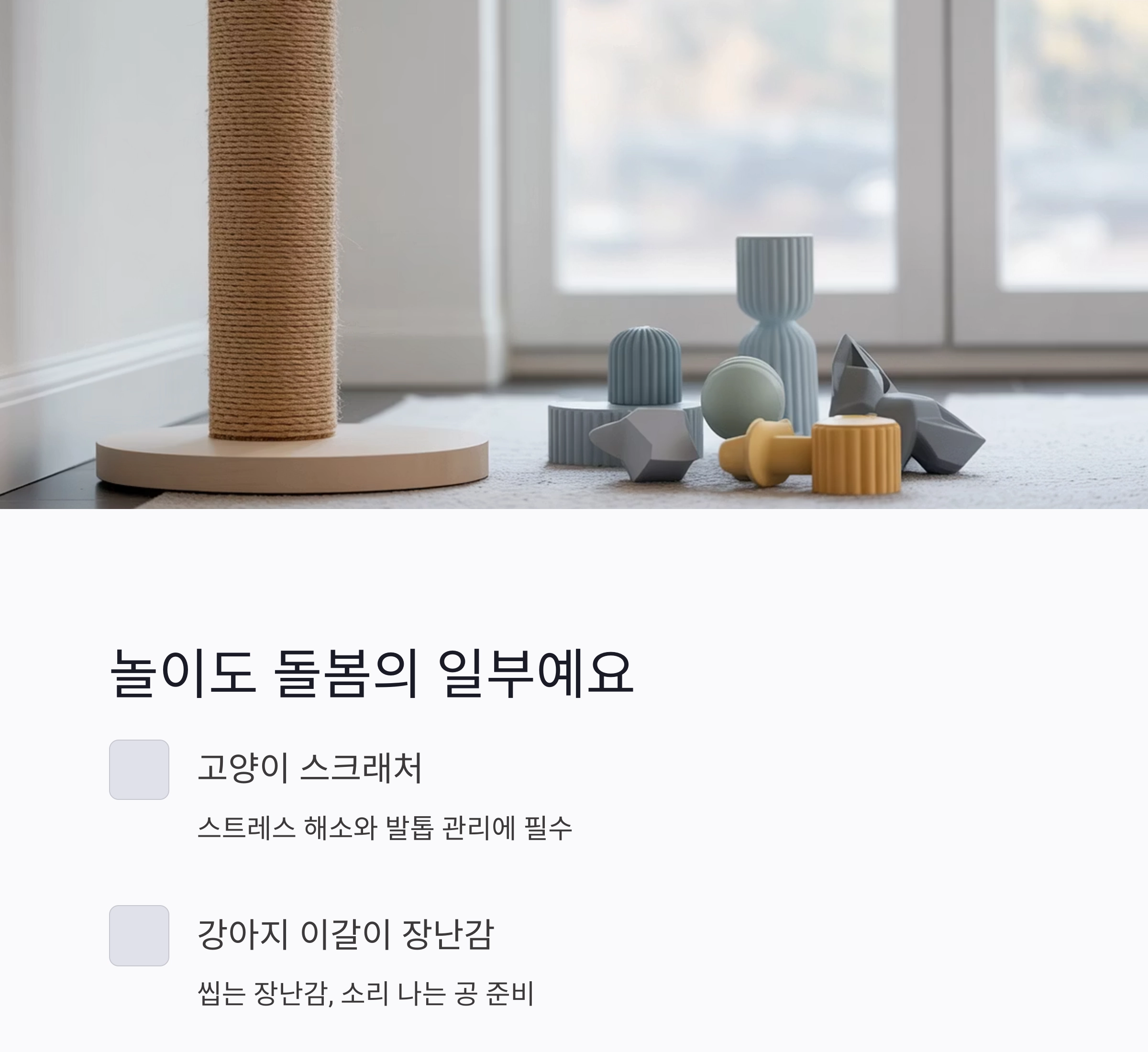반려동물 초보 집사를 위한 필수템 완벽 가이드