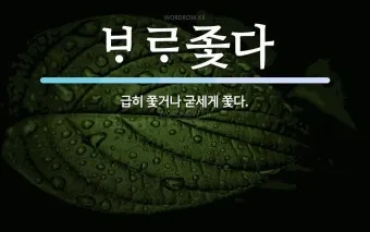 좇다 쫓다 맞춤법 맞는 표현 예문_22