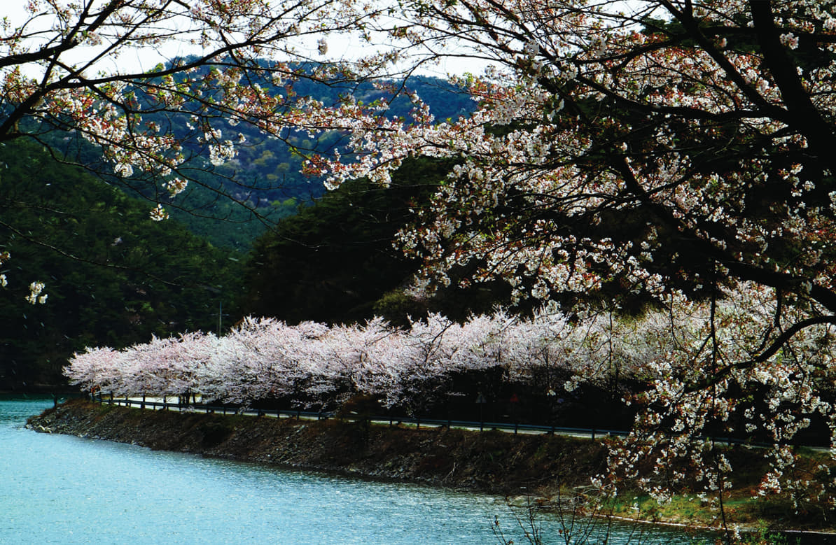 부안 변산해수욕장 오픈바·JAZZ 버스킹·비치 시네마 가이드