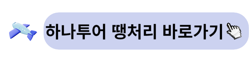 땡처리 항공권