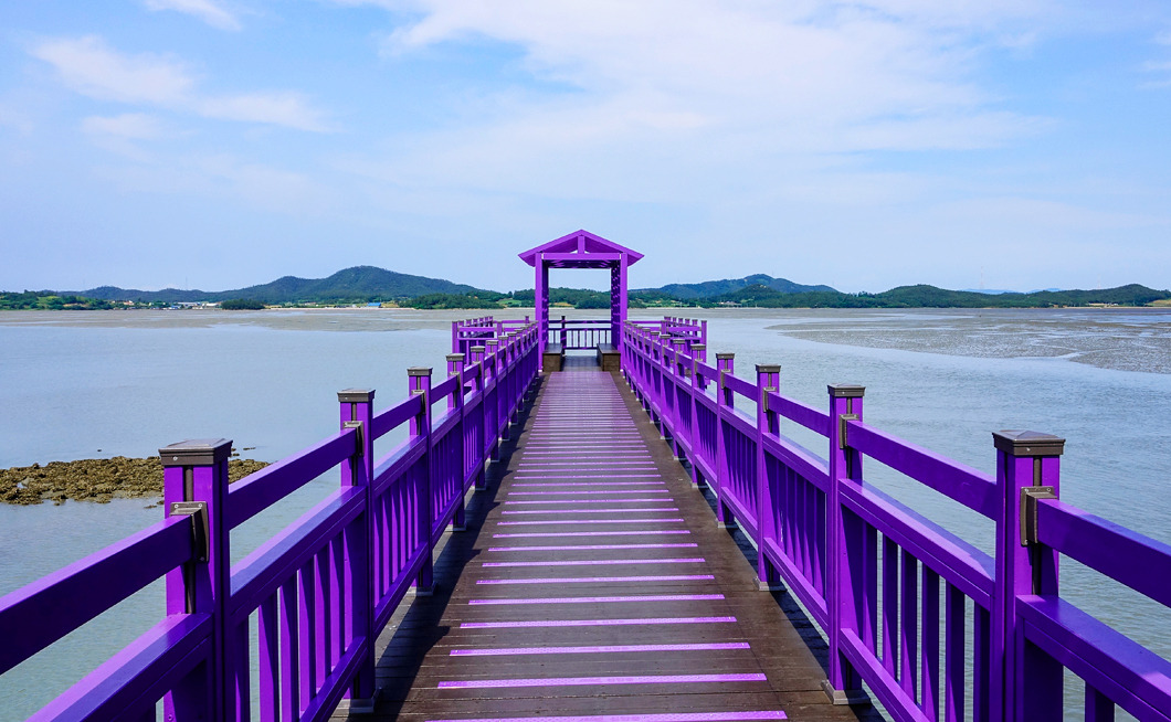 신안 퍼플섬 풍경사진