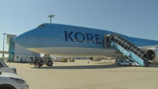 자진출국 추방(강제출국) 차이