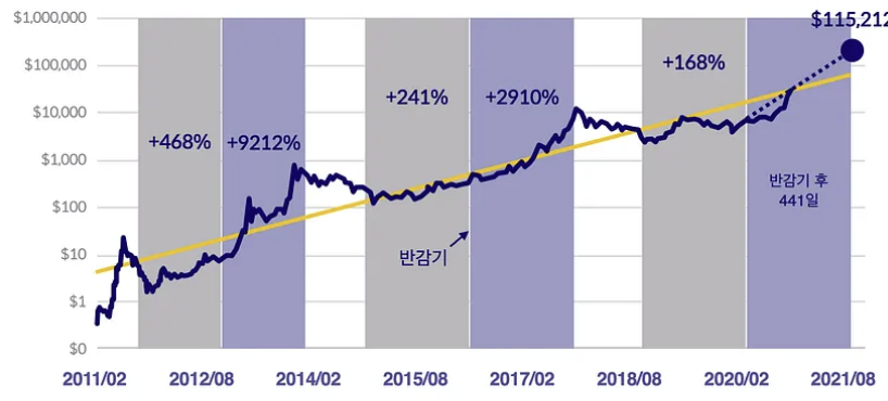 비트코인-그래프