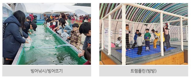 칠갑산 얼음분수 축제 입장료 및 야간개장을 진행하고 있습니다.