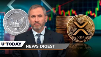 XRP CEO