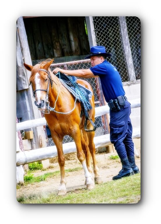 docile-image