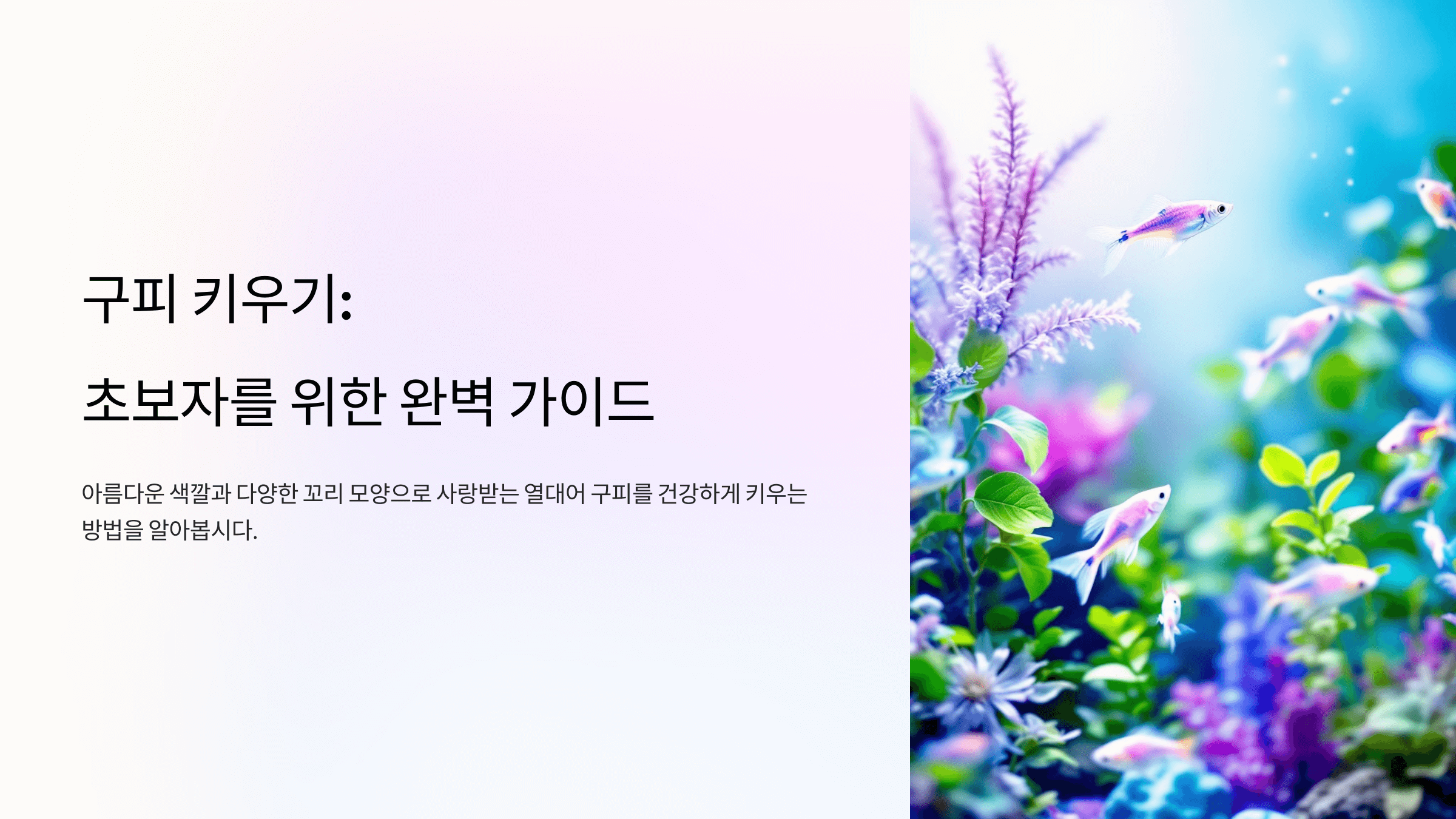 구피 사진입니다.