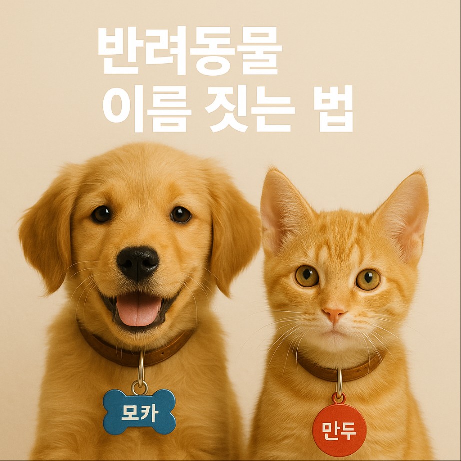 강아지와 고양이가 목에 이름이 적힌 목걸이를 한 사진