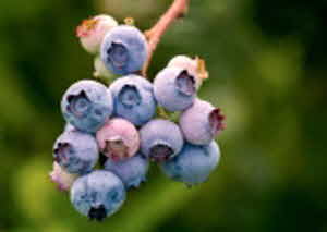 당뇨병 초기증상 수치 원인