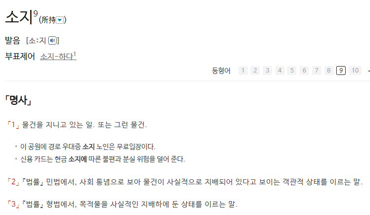 국립국어원-소지-뜻