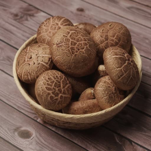 기능성 버섯이 면역력에 미치는 영향