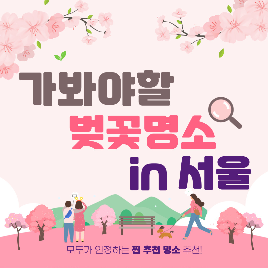 2024 서울 벚꽃 명소 BEST 10