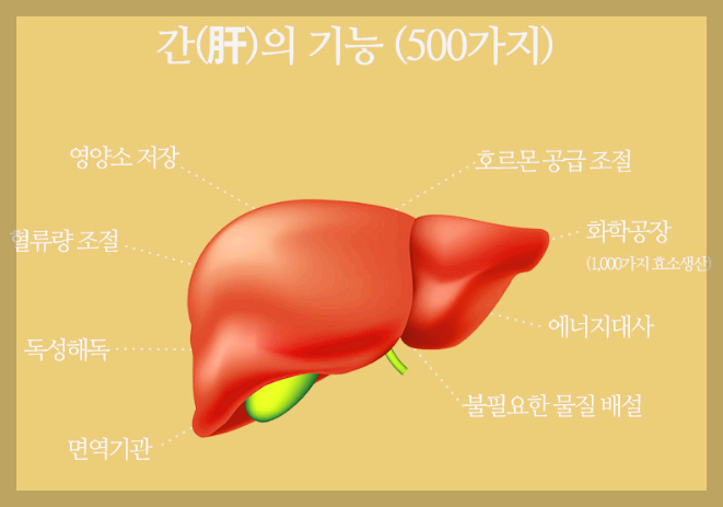 트루포뮬러 칸톱 밀크씨슬 후기 모음, 경험담, 가격 등 3분 총정리