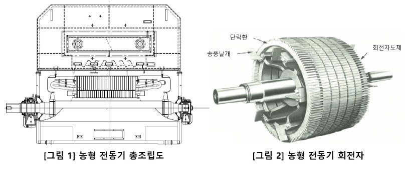 농형 유도 전동기