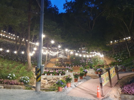 운림산림욕장 수국공원 야간