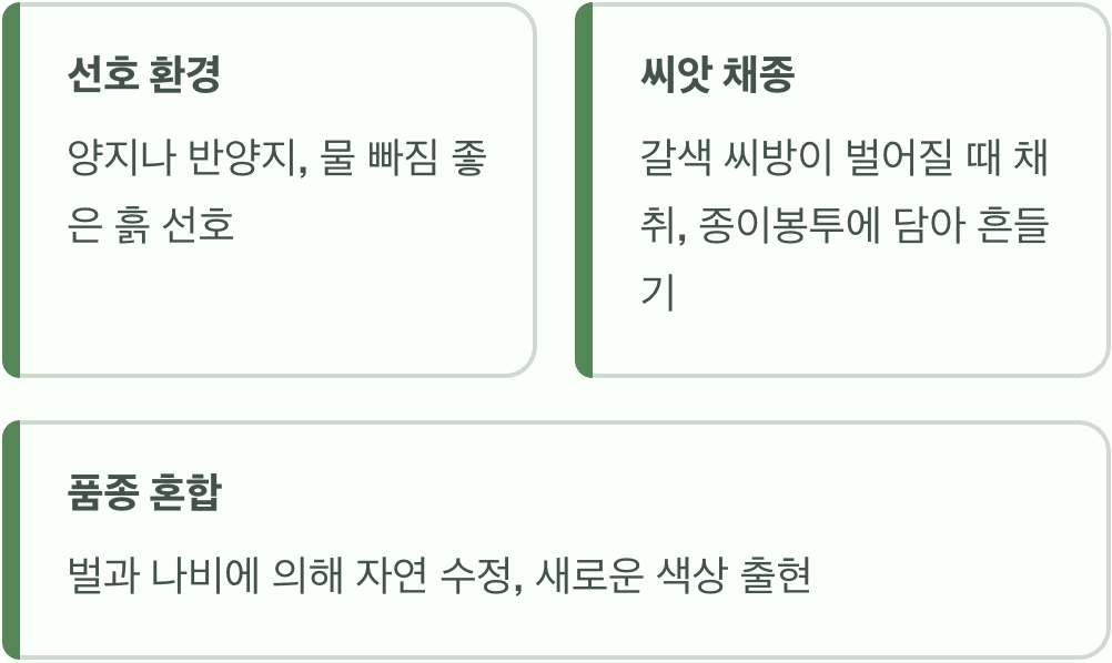 게으른 정원사의 꽃, 매발톱 씨앗 파종 완벽 가이드