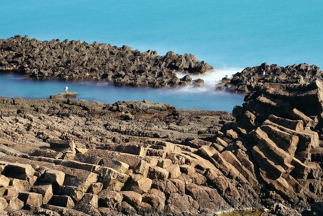 숙박세일페스타