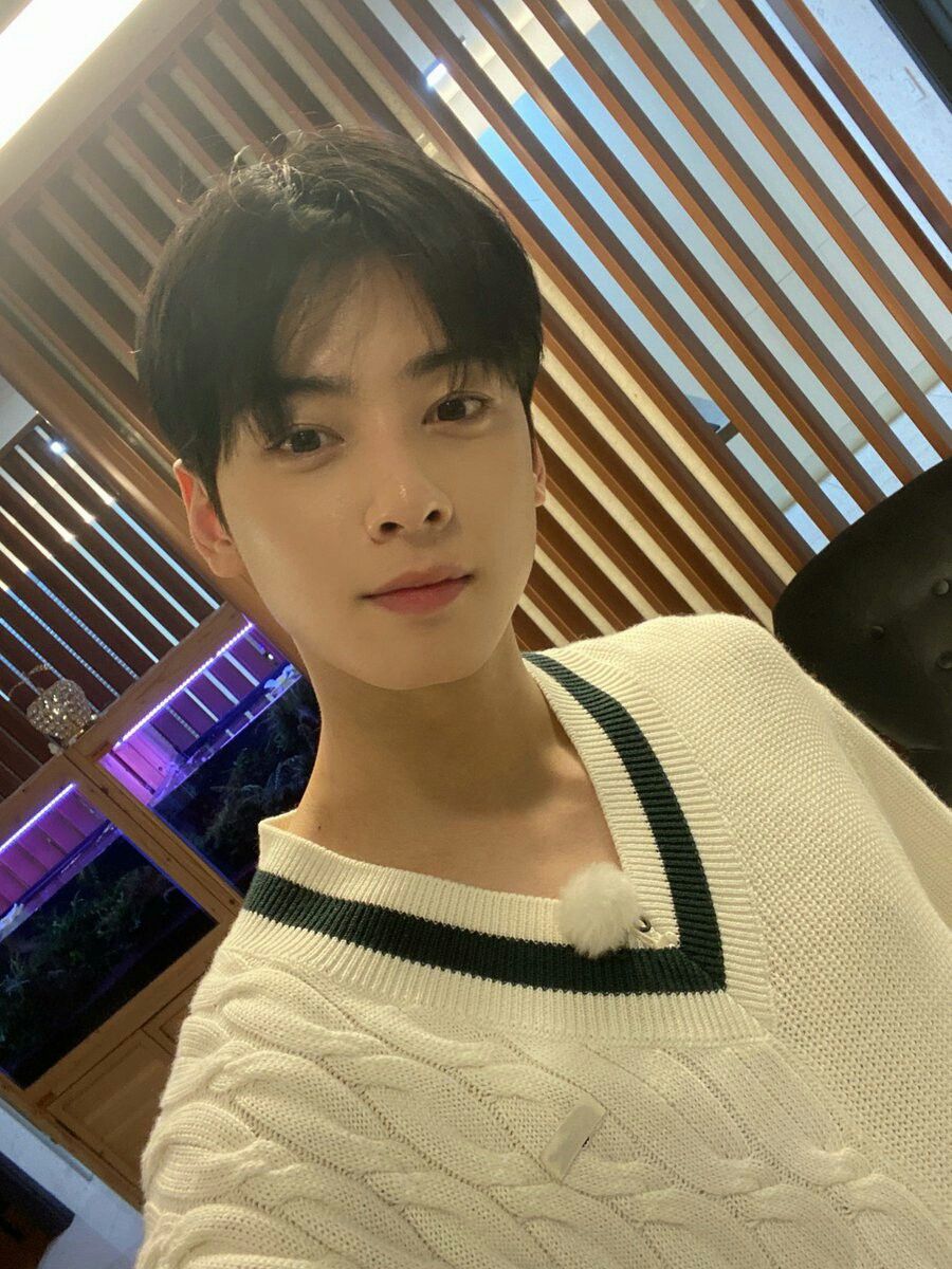 차은우 프로필 나이 탈세 엄마 장어집 동생 군대 제대일