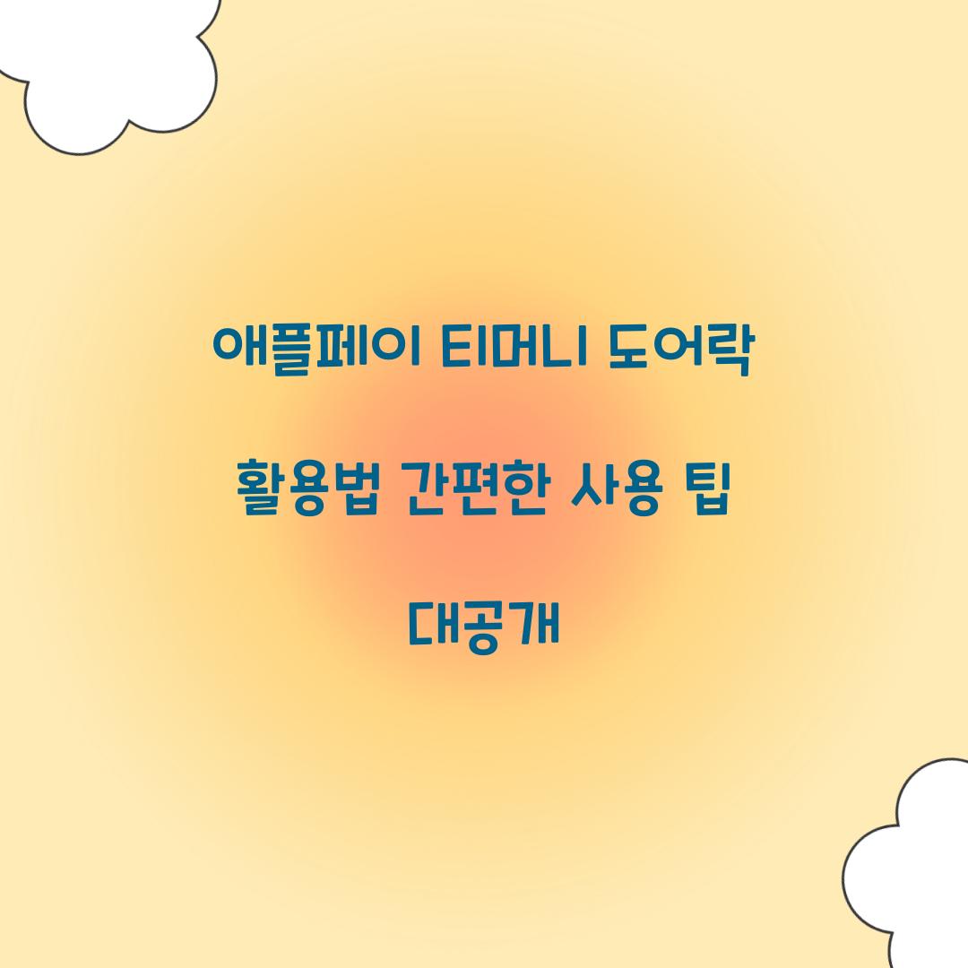 애플페이 티머니 도어락