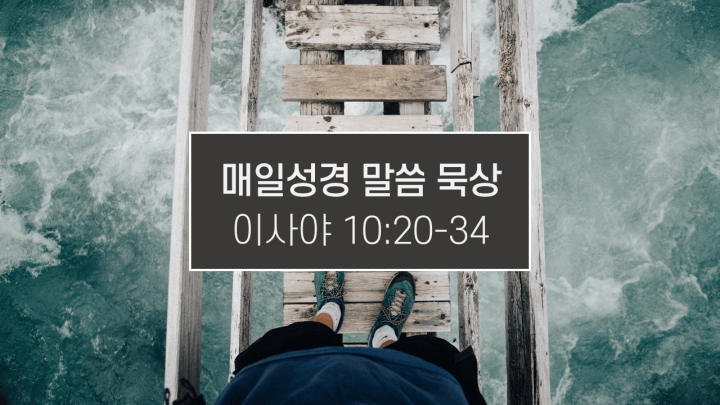 썸네일-물-위를-건너는-다리