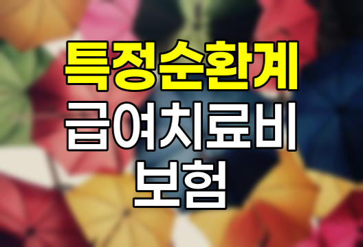 메리츠화재 특정순환계 급여치료비 보험 핵심 분석