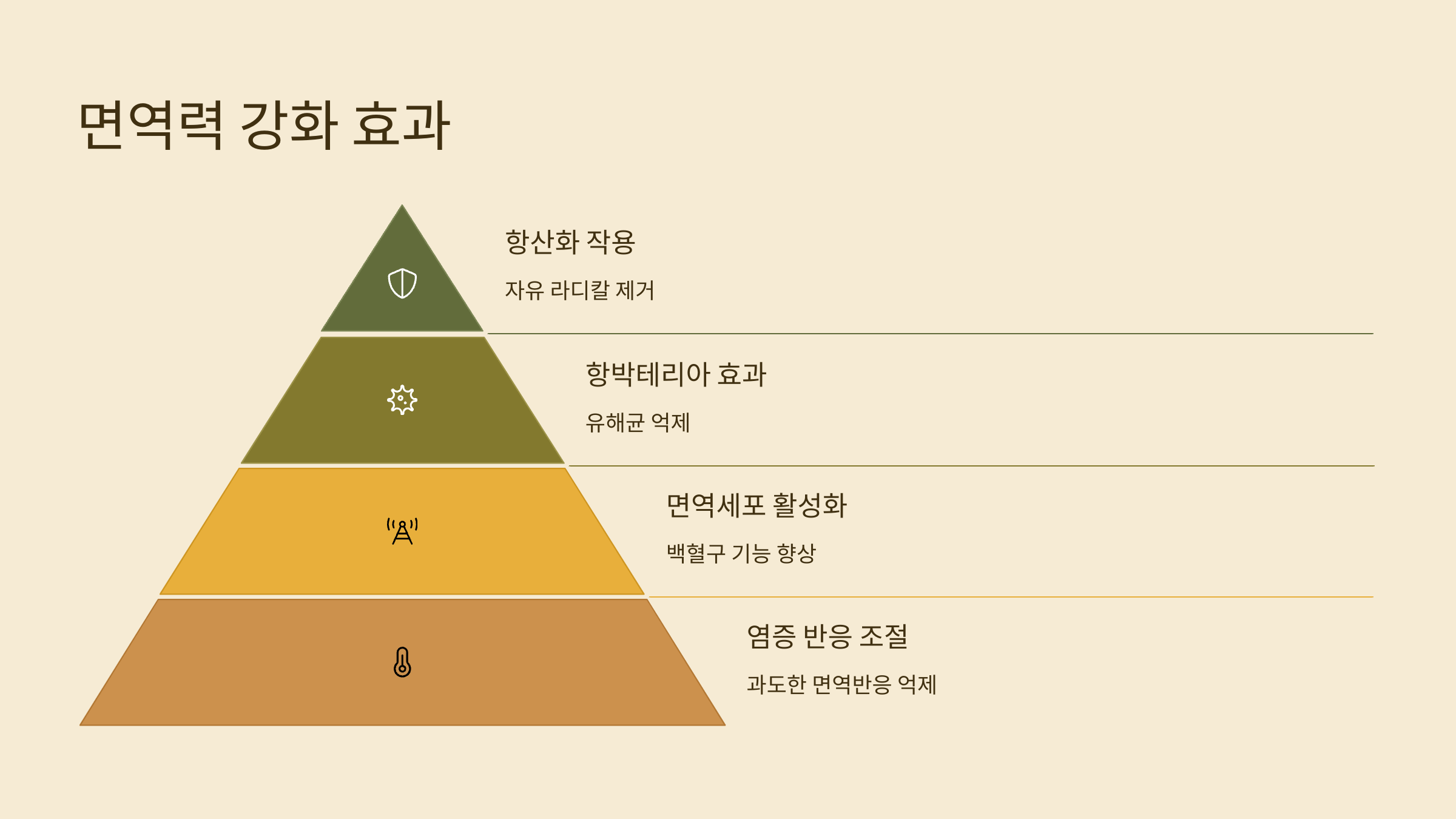 캐모마일차 사진입니다.