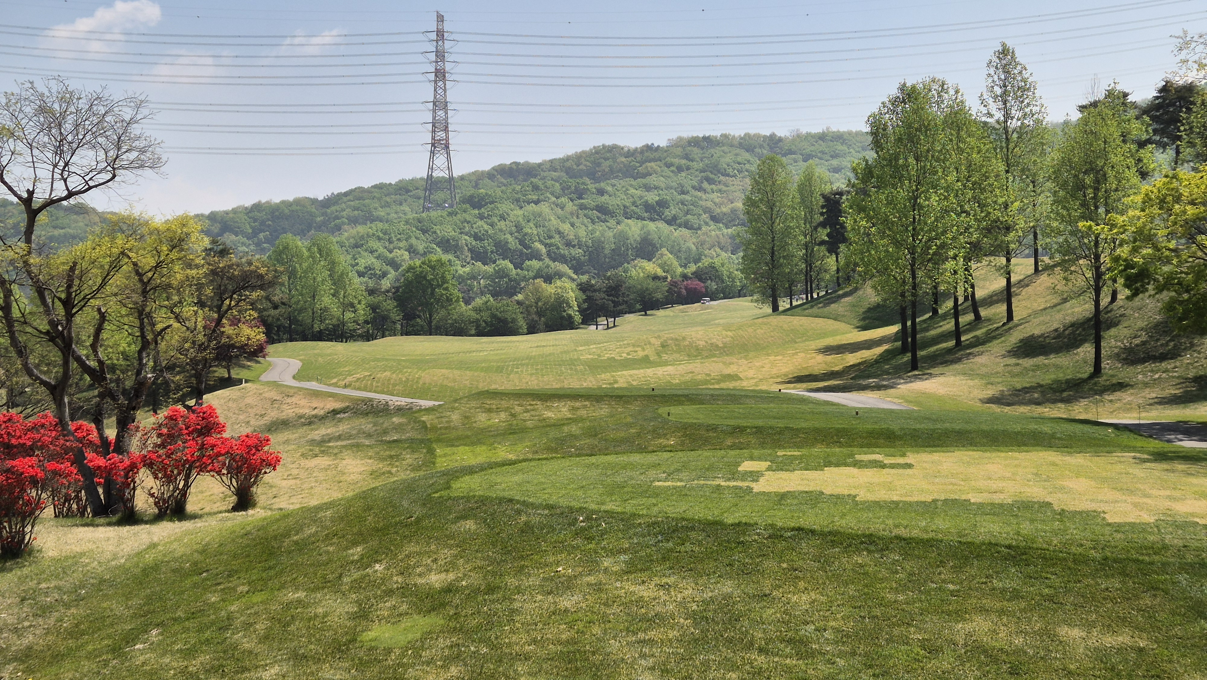 마에스트로cc 코스