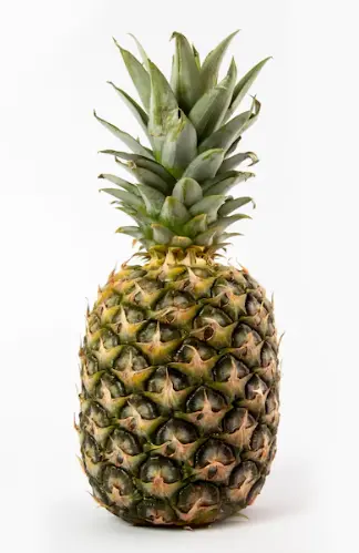 파인애플