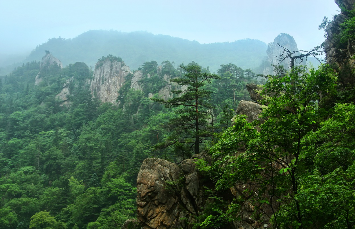 원주 로컬여행 시장, 한식, 체험 사진
