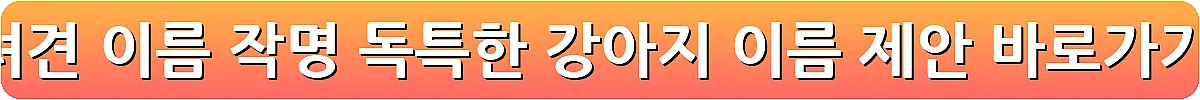 반려견 이름 작명 독특한 강아지 이름 제안_6