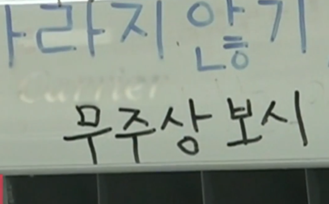 이세희 관련사진